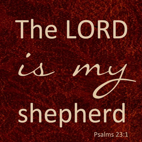 MY SHEPHERD White Modern Wood Framed Art Print with Double Matting by Greene, Taylor