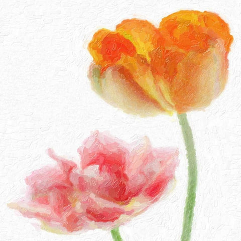 FLORAL PAIR White Modern Wood Framed Art Print with Double Matting by Greene, Taylor
