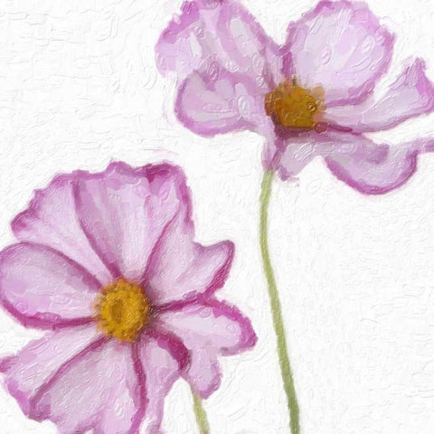 PLUM FLORAL PAIR White Modern Wood Framed Art Print with Double Matting by Greene, Taylor