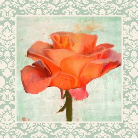 DAMASK ROSE I White Modern Wood Framed Art Print with Double Matting by Greene, Taylor