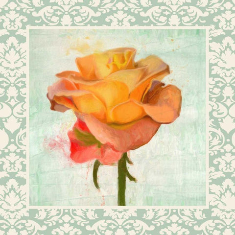 DAMASK ROSE II White Modern Wood Framed Art Print with Double Matting by Greene, Taylor
