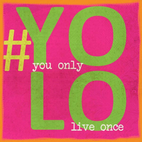YOLO White Modern Wood Framed Art Print with Double Matting by Greene, Taylor