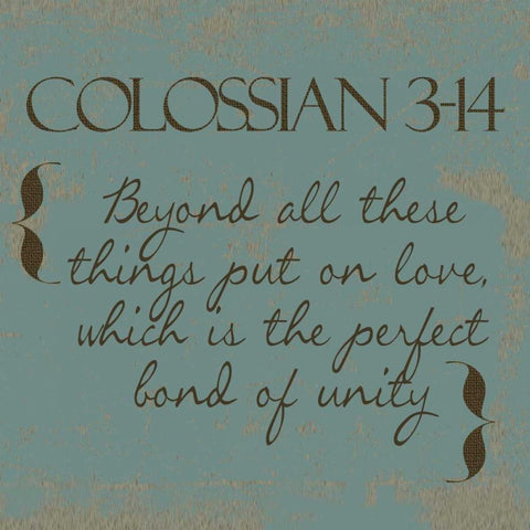 Colossians 3-14 Black Modern Wood Framed Art Print with Double Matting by Greene, Taylor