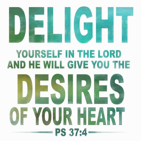 Delight White Modern Wood Framed Art Print by Greene, Taylor