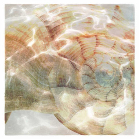 Shell Abstract 1 Gold Ornate Wood Framed Art Print with Double Matting by Greene, Taylor