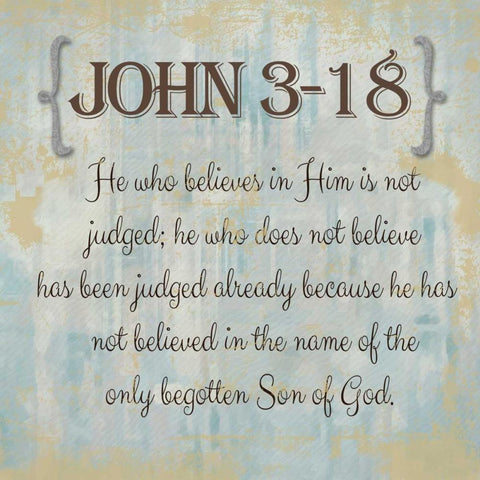 John 3-18 White Modern Wood Framed Art Print by Greene, Taylor