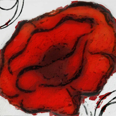 Contempo Poppy 1 White Modern Wood Framed Art Print with Double Matting by Greene, Taylor