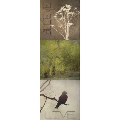 SIlhouette Beauty A White Modern Wood Framed Art Print by Greene, Taylor