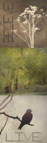 SIlhouette Beauty A White Modern Wood Framed Art Print with Double Matting by Greene, Taylor