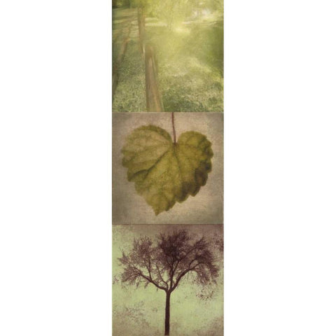 SILHOUETTE BEAUTY B Black Modern Wood Framed Art Print by Greene, Taylor