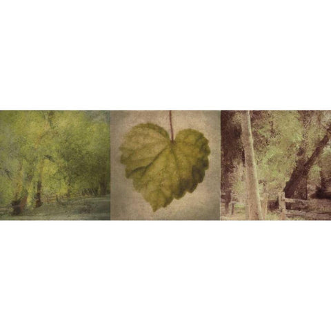 SILHOUETTE BEAUTY E Gold Ornate Wood Framed Art Print with Double Matting by Greene, Taylor