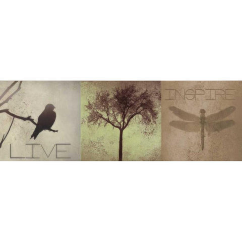 SIlhouette Beauty F Black Modern Wood Framed Art Print by Greene, Taylor