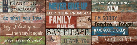 Rustic Rules A Black Ornate Wood Framed Art Print with Double Matting by Greene, Taylor