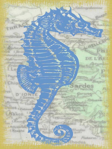 SEAHORSE White Modern Wood Framed Art Print with Double Matting by Greene, Taylor