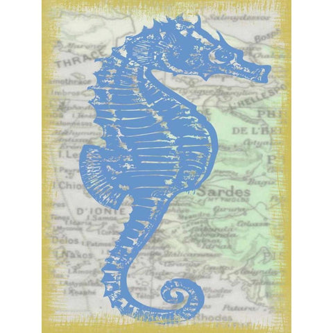 SEAHORSE Black Modern Wood Framed Art Print with Double Matting by Greene, Taylor