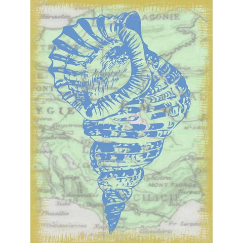 SHELL Black Modern Wood Framed Art Print by Greene, Taylor