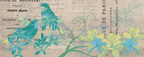 Bird Botanical Blue 2 White Modern Wood Framed Art Print with Double Matting by Jordan, Elizabeth