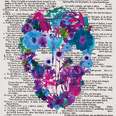 Skull 2.2 White Modern Wood Framed Art Print with Double Matting by Brown, Victoria