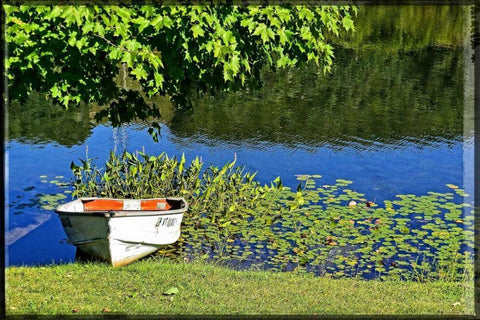 Country Pond Row Boat Black Ornate Wood Framed Art Print with Double Matting by Foschino, Suzanne