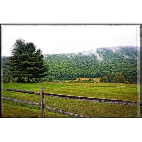 Morning Mountain Smoke Gold Ornate Wood Framed Art Print with Double Matting by Foschino, Suzanne