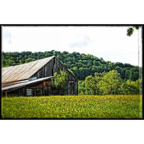 Country Barn 4 Gold Ornate Wood Framed Art Print with Double Matting by Foschino, Suzanne