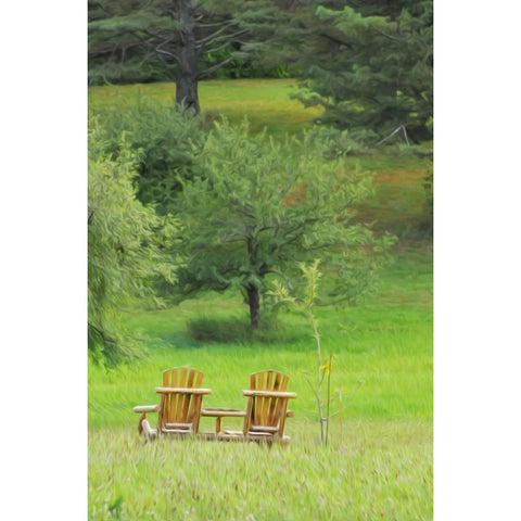 Mountain Chairs 3 Gold Ornate Wood Framed Art Print with Double Matting by Foschino, Suzanne