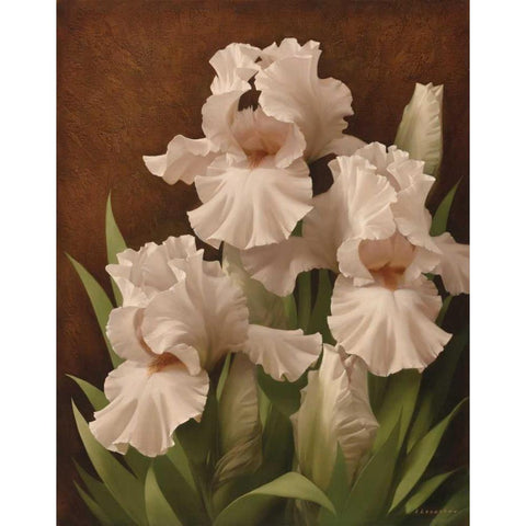 Iris Illumination II Black Modern Wood Framed Art Print with Double Matting by Levashov, Igor