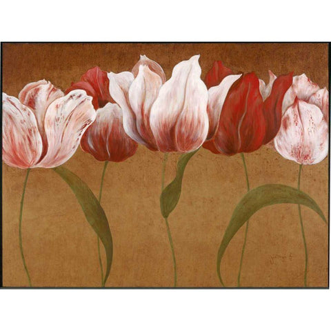 Flower Dance II Black Modern Wood Framed Art Print with Double Matting by Tava Studios