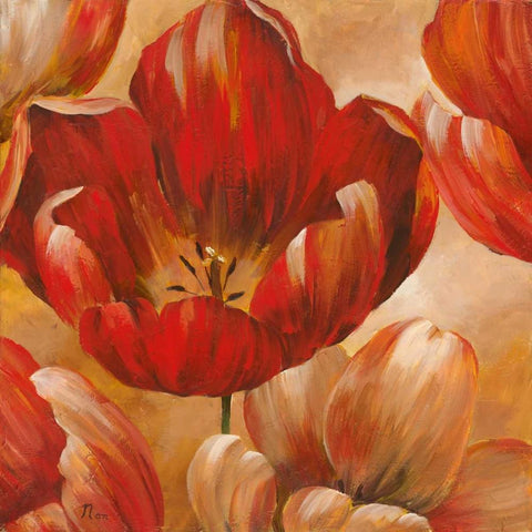 Sunlit Bloom I Black Modern Wood Framed Art Print with Double Matting by Nan