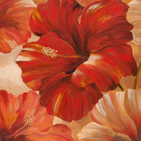 Sunlit Bloom II White Modern Wood Framed Art Print by Nan