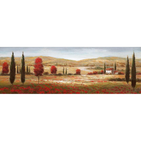 Tuscan Poppies I White Modern Wood Framed Art Print by Nan