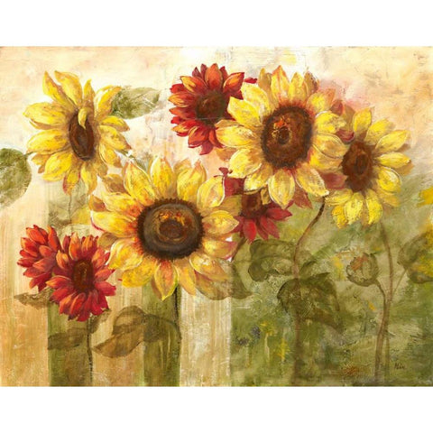 Sunflowers Delight White Modern Wood Framed Art Print by Nan