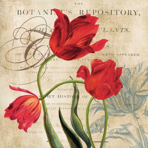 Botanists White Modern Wood Framed Art Print by Robinson, Carol