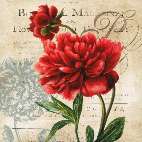 The Botanical White Modern Wood Framed Art Print by Robinson, Carol