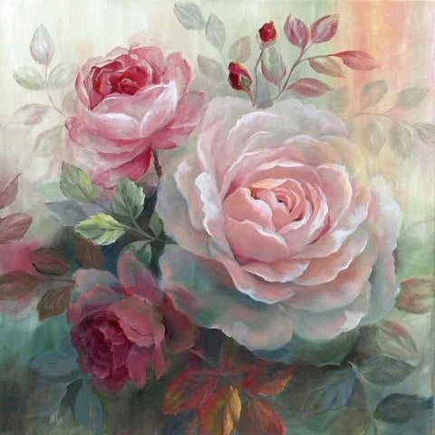 White Roses II White Modern Wood Framed Art Print by Nan
