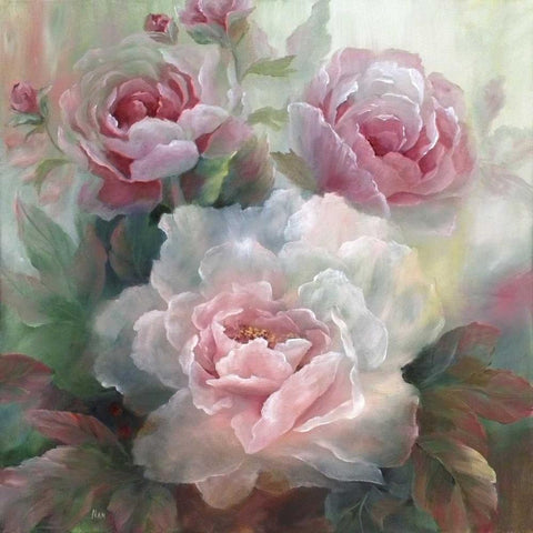 White Roses III White Modern Wood Framed Art Print by Nan