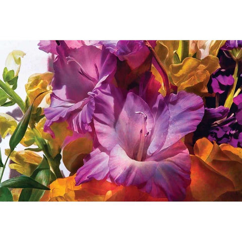 Anas Garden Gold Ornate Wood Framed Art Print with Double Matting by Calascibetta, Mike