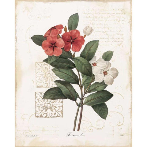 Pervenche White Modern Wood Framed Art Print by Robinson, Carol