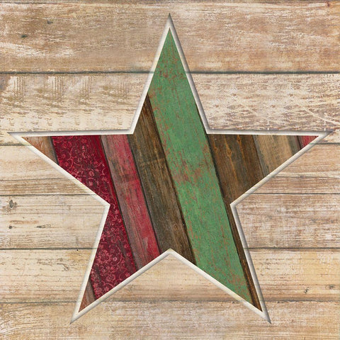 Holiday Star White Modern Wood Framed Art Print with Double Matting by Tava Studios
