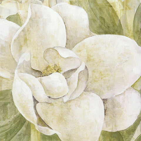 Magnolia Dolce White Modern Wood Framed Art Print with Double Matting by Tava Studios