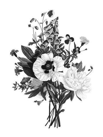 Botanical Black and White Modern Wood Framed Art Print with Double Matting by Donovan, Kelly
