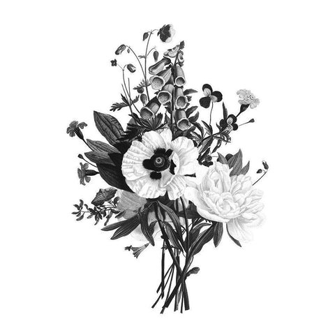 Botanical Black and White Modern Wood Framed Art Print by Donovan, Kelly