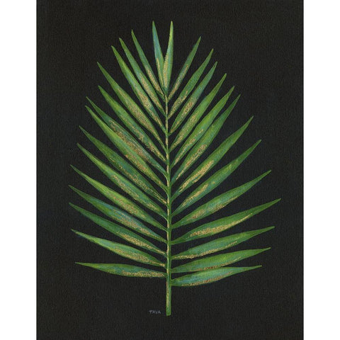 Midnight Palm Black Modern Wood Framed Art Print with Double Matting by Tava Studios