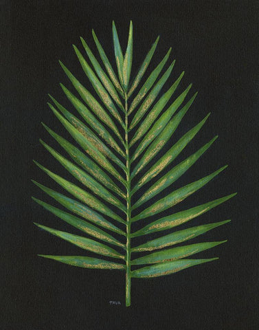 Midnight Palm White Modern Wood Framed Art Print with Double Matting by Tava Studios