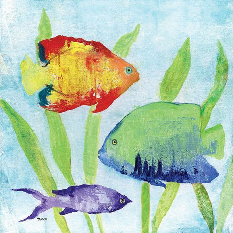 Iridescent Fish II White Modern Wood Framed Art Print with Double Matting by Tava Studios