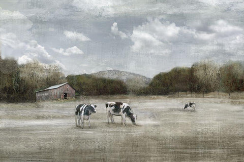 Country Satisfaction Black Ornate Wood Framed Art Print with Double Matting by Nan