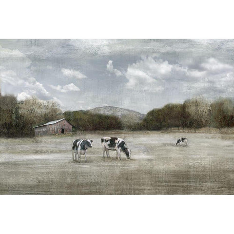 Country Satisfaction Black Modern Wood Framed Art Print by Nan