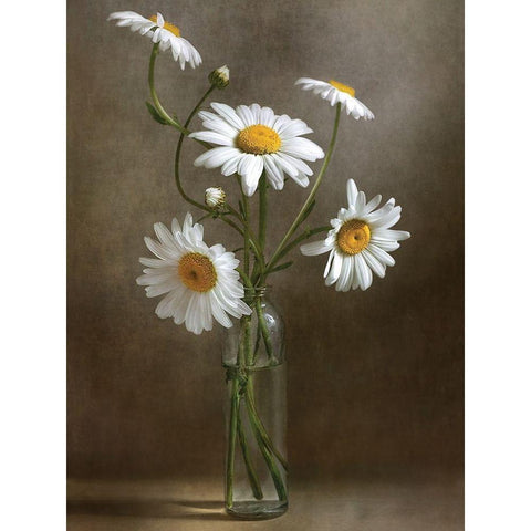 Still Life I White Modern Wood Framed Art Print by Disher, Mandy