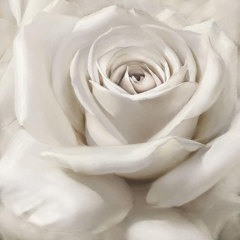 Dreamy II White Modern Wood Framed Art Print by Levashov, Igor
