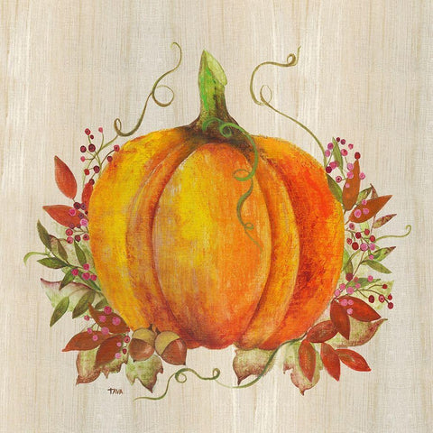 Pumpkin in Fall White Modern Wood Framed Art Print with Double Matting by Tava Studios